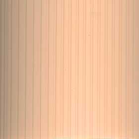 РИБКОРД 4240 персик, 5,4м